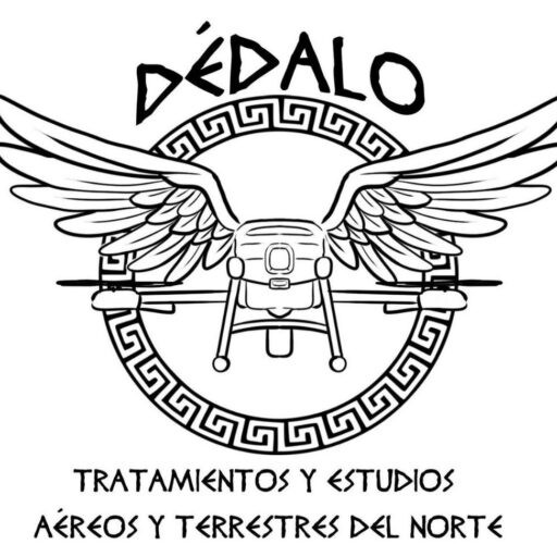 Logo Dédalo